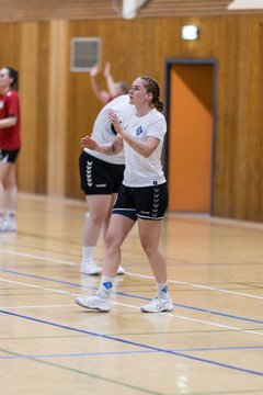 Bild 69 - F TSV Ellerau - HSG Tills Loewen 08 : Ergebnis: 16:18